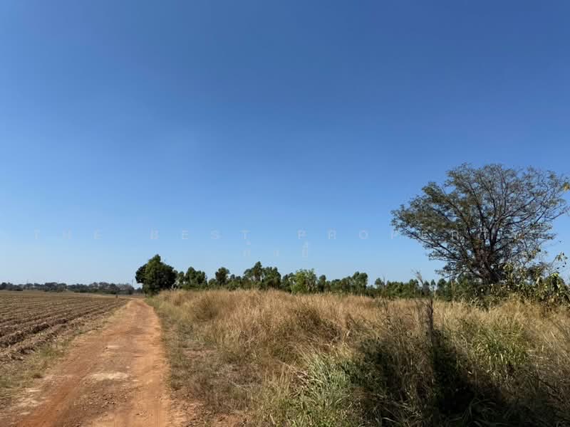 ทดนลาดตะเคยน ปราจนบร, Prachin Buri, Lat Ta Khian, Kabin Buri, Prachin Buri, , 55,100 sqm, Land For Sale, by The Best Property ย้งยี้, 500462656 - DDproperty.com