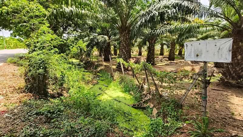 ทดนชะอำ เพชรบร, Phetchaburi, Na Yang, Cha-Am, Phetchaburi, , 7,432 sqm, Land For Sale, by The Best Property ต่าย, 500462664 - DDproperty.com