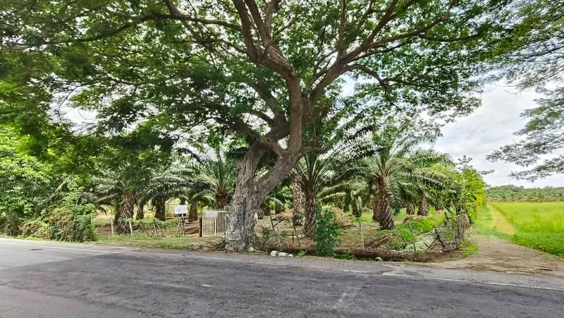 ทดนชะอำ เพชรบร, Phetchaburi, Na Yang, Cha-Am, Phetchaburi, , 7,432 sqm, Land For Sale, by The Best Property ต่าย, 500462664 - DDproperty.com