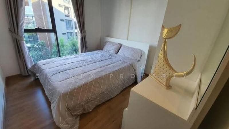 Hasu Haus, Bangkok, Sukhumvit 77 Road, Phra Kanong Nua, Watthana, Bangkok, 1 Bedroom, 30 sqm, Condo For Rent, by Connex Property, 500462669 - DDproperty.com