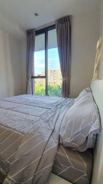 Hasu Haus, Bangkok, Sukhumvit 77 Road, Phra Kanong Nua, Watthana, Bangkok, 1 Bedroom, 30 sqm, Condo For Rent, by Connex Property, 500462669 - DDproperty.com