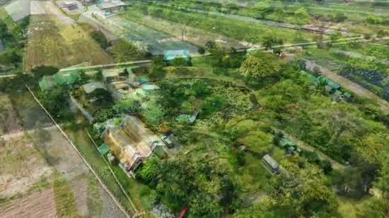 Pathum Thani, Khlong Sam, Khlong Luang, Pathum Thani, , 11,960 sqm, Land For Sale, by Phatsaran Kaiboriboon, 500462671 - DDproperty.com