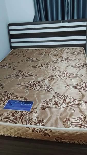 ใหเชาบานเดยว ม.ไลฟซตพารค บอวน ศรราชา, Chon Buri (Pattaya), Bo Win, Si Racha, Chon Buri (Pattaya), 3 Bedrooms, 180 sqm, Single Detached House For Rent, by Dusit Saengfa, 500462692 - DDproperty.com