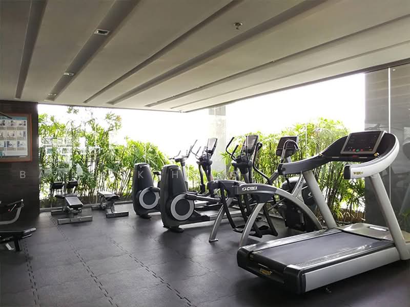 Aequa Sukhumvit 49 : เอควา สุขมวิท 49, กรุงเทพ, ซอยสุขุมวิท 49 ถนนสุขุมวิท, คลองตันเหนือ, วัฒนา, กรุงเทพ, 56 ตร.ม., คอนโด ให้เช่า, โดย Bangkok House Living, 500462755 - DDproperty.com