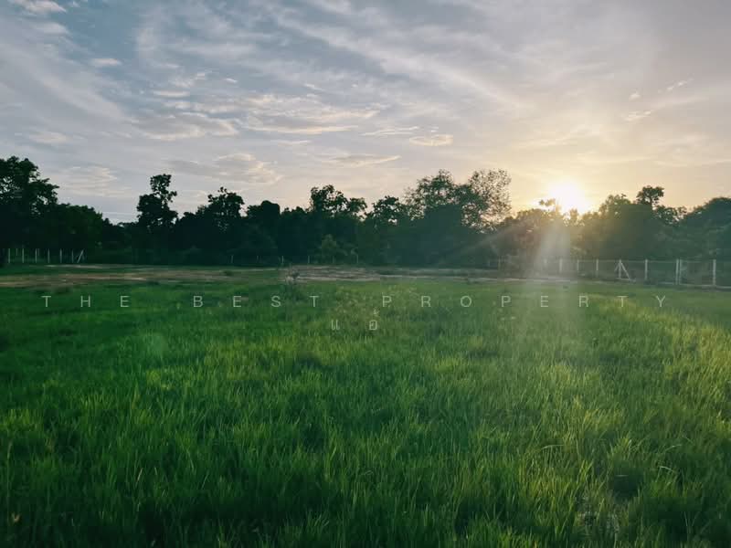 ทดนดอนเจดย สพรรณบร, สุพรรณบุรี, ดอนเจดีย์, สุพรรณบุรี, 1,600 ตร.ม., ที่ดิน ขาย, โดย The Best Property แอ้, 500462786 - DDproperty.com