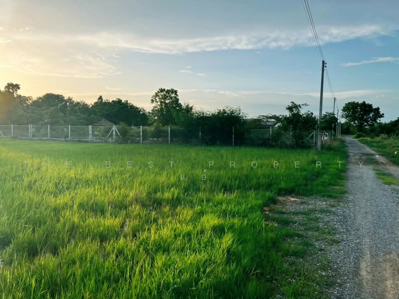 ทดนดอนเจดย สพรรณบร, สุพรรณบุรี, ดอนเจดีย์, สุพรรณบุรี, 1,600 ตร.ม., ที่ดิน ขาย, โดย The Best Property แอ้, 500462786 - DDproperty.com