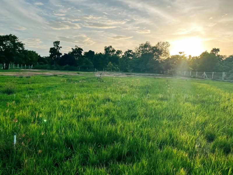 ทดนดอนเจดย สพรรณบร, Suphan Buri, Don Chedi, Suphan Buri, , 1,600 sqm, Land For Sale, by The Best Property แอ้, 500462786 - DDproperty.com