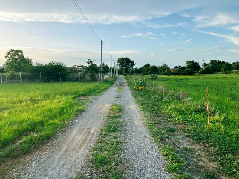 ทดนดอนเจดย สพรรณบร, Suphan Buri, Don Chedi, Suphan Buri, , 1,600 sqm, Land For Sale, by The Best Property แอ้, 500462786 - DDproperty.com