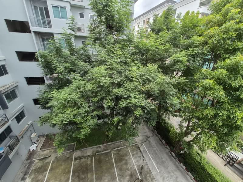 My Condo Sukhumvit 81, Bangkok, Soi Sukhumvit 81 Sukhumvit Road, Bang Chak, Phra Khanong, Bangkok, 1 Bedroom, 35 sqm, Condo For Rent, by Sukanya Rose, 500462791 - DDproperty.com