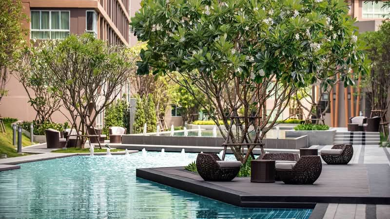 Dcondo Creek Phuket : ดีคอนโด ครีก ภูเก็ต, ภูเก็ต, 81 ม.2, กะทู้, ภูเก็ต, 30 ตร.ม., คอนโด ขาย, โดย Witada Jindapol, 500462920 - DDproperty.com