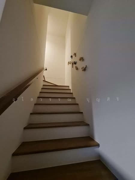 Pleno sukhumvit bangna, Samut Prakan, Bang Kaeo, Bang Plee, Samut Prakan, 3 Bedrooms, 107 sqm, Townhouse For Rent, by Ulaiwan Boonsiri, 500462924 - DDproperty.com