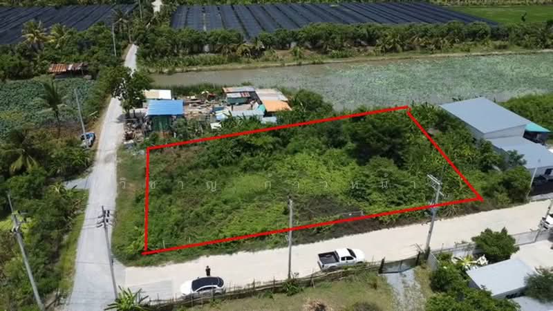 Land in Nakhon Chai Si, Nakhon Pathom, Lan Tak Fa, Nakhon Chai Sri, Nakhon Pathom, , 936 sqm, Land For Sale, by Wicharn Kaonah, 500462939 - DDproperty.com