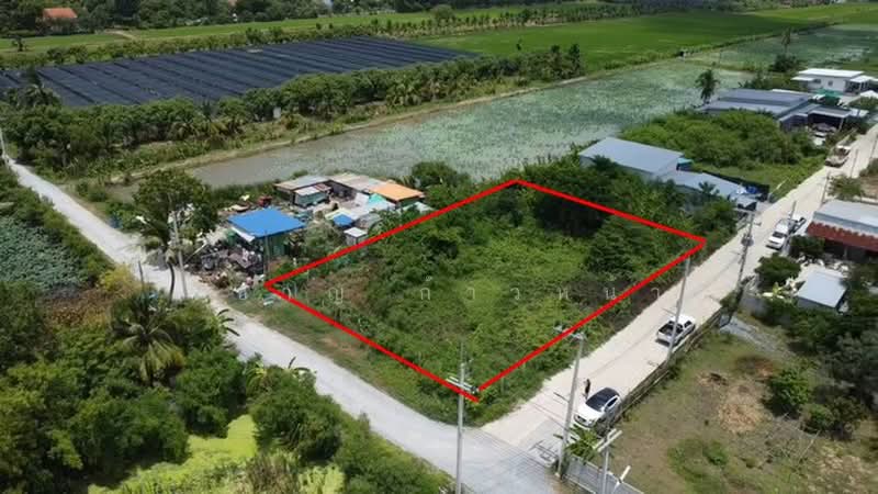 Land in Nakhon Chai Si, Nakhon Pathom, Lan Tak Fa, Nakhon Chai Sri, Nakhon Pathom, , 936 sqm, Land For Sale, by Wicharn Kaonah, 500462939 - DDproperty.com