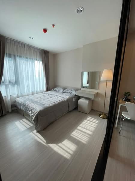 Aspire Erawan Prime, Samut Prakan, Sukhumvit Road, Pak Nam, Muang Samut Prakarn, Samut Prakan, 1 Bedroom, 32 sqm, Condo For Rent, by Connex Property, 500462950 - DDproperty.com