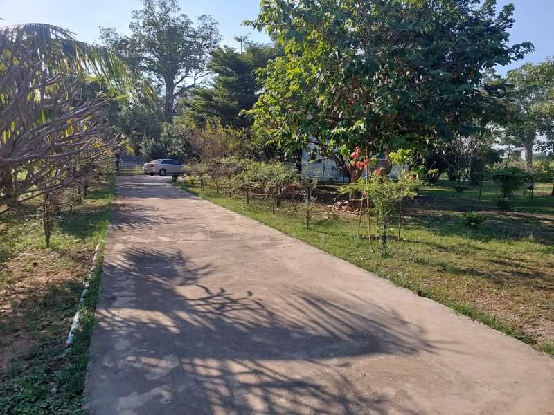 สพรรณบร, Suphan Buri, Wang Nam Sap, Sri Prachan, Suphan Buri, 4 Bedrooms, 300 sqm, Single Detached House For Sale, by วิไลวรรณ, 500462997 - DDproperty.com