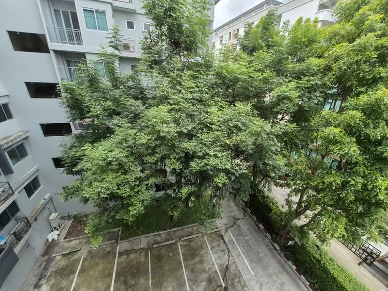 My Condo Sukhumvit 81, Bangkok, Soi Sukhumvit 81 Sukhumvit Road, Bang Chak, Phra Khanong, Bangkok, 1 Bedroom, 35 sqm, Condo For Rent, by Ti Nitipat, 500463001 - DDproperty.com