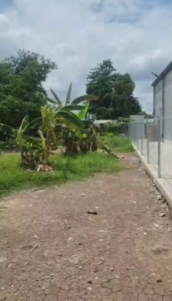 ไมพบโครงการ, Bangkok, 7-11, Si Khan, Don Mueang, Bangkok, , 28,264 sqm, Land For Sale, by ณัฐพงศ์ สุนทรอรุณ, 500463077 - DDproperty.com