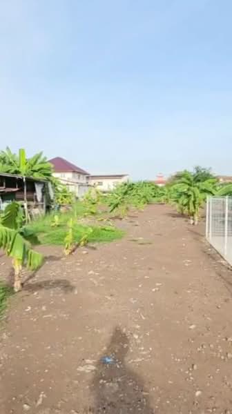 ไมพบโครงการ, Bangkok, 7-11, Si Khan, Don Mueang, Bangkok, , 28,264 sqm, Land For Sale, by ณัฐพงศ์ สุนทรอรุณ, 500463077 - DDproperty.com