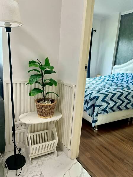 My Condo Sukhumvit 81, Bangkok, Soi Sukhumvit 81 Sukhumvit Road, Bang Chak, Phra Khanong, Bangkok, 1 Bedroom, 35 sqm, Condo For Rent, by Living Condo, 500463102 - DDproperty.com