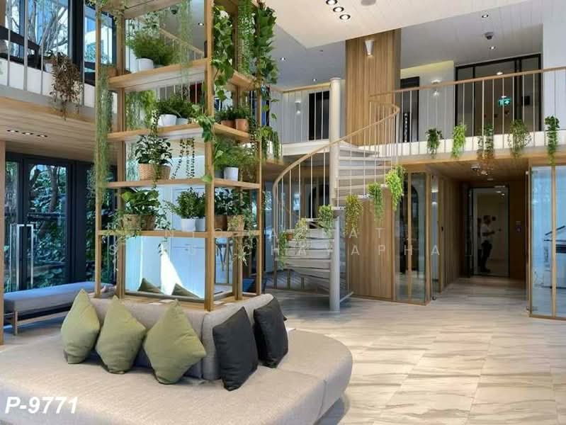 Chambers On-Nut Station, Bangkok, Soi Sukhumvit 81, Sukhumvit Road, Phra Kanong Nua, Watthana, Bangkok, 1 Bedroom, 27 sqm, Condo For Rent, by Nichaphat Sakunchayapha, 500463105 - DDproperty.com