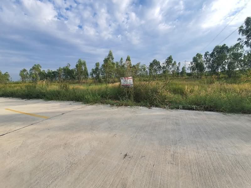 ถนนเทศบาล 16, Pathum Thani, Bung Ba, Nong Sua, Pathum Thani, , 1,548 sqm, Land For Sale, by ชนะชาติ นนท์ตา, 500463146 - DDproperty.com