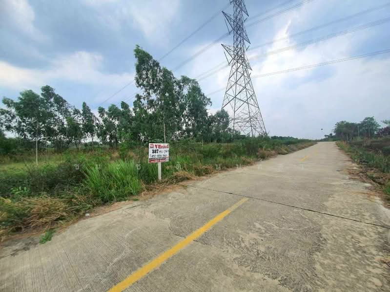 ถนนเทศบาล 16, Pathum Thani, Bung Ba, Nong Sua, Pathum Thani, , 1,548 sqm, Land For Sale, by ชนะชาติ นนท์ตา, 500463146 - DDproperty.com