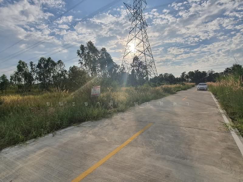ถนนเทศบาล 16, Pathum Thani, Bung Ba, Nong Sua, Pathum Thani, , 1,548 sqm, Land For Sale, by ชนะชาติ นนท์ตา, 500463146 - DDproperty.com