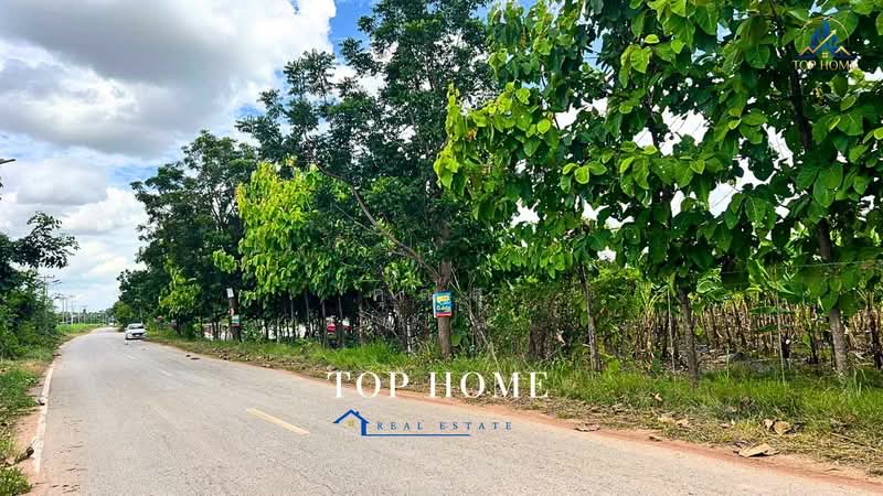 ขายด่วน! ที่ดินแปลงใหญ่ ติดถนน ทำเลดี ตำบลหนองแปน อำเภอมัญจาคีรี จังหวัดขอนแก่น, ขอนแก่น, หนองแปน, มัญจาคีรี, ขอนแก่น, 31,520 ตร.ม., ที่ดิน ขาย, โดย คุณสุ, 500463167 - DDproperty.com