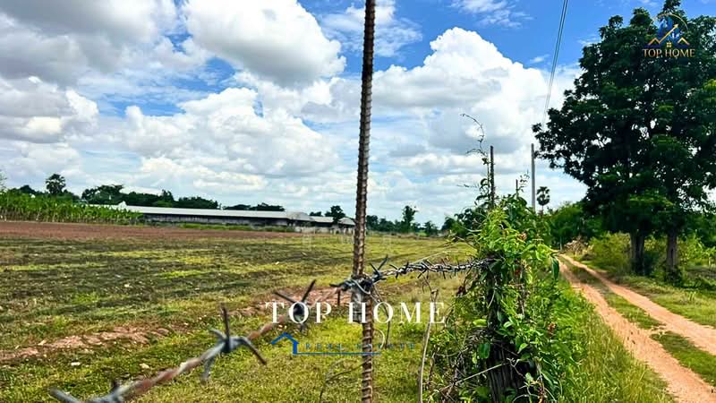 ขายด่วน! ที่ดินแปลงใหญ่ ติดถนน ทำเลดี ตำบลหนองแปน อำเภอมัญจาคีรี จังหวัดขอนแก่น, Khon Kaen, Nong Paen, Mancha Khiri, Khon Kaen, , 31,520 sqm, Land For Sale, by คุณสุ, 500463167 - DDproperty.com