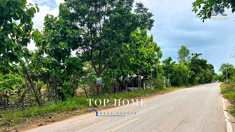 ขายด่วน! ที่ดินแปลงใหญ่ ติดถนน ทำเลดี ตำบลหนองแปน อำเภอมัญจาคีรี จังหวัดขอนแก่น, Khon Kaen, Nong Paen, Mancha Khiri, Khon Kaen, , 31,520 sqm, Land For Sale, by คุณสุ, 500463167 - DDproperty.com