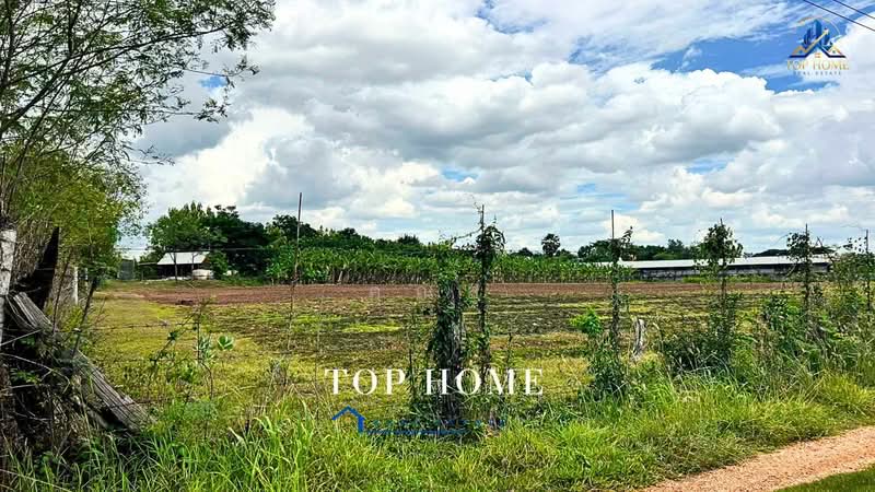 ขายด่วน! ที่ดินแปลงใหญ่ ติดถนน ทำเลดี ตำบลหนองแปน อำเภอมัญจาคีรี จังหวัดขอนแก่น, Khon Kaen, Nong Paen, Mancha Khiri, Khon Kaen, , 31,520 sqm, Land For Sale, by คุณสุ, 500463167 - DDproperty.com