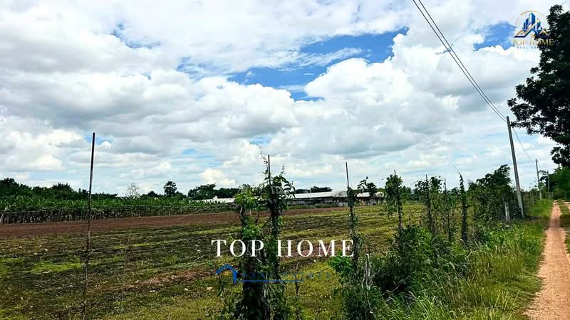 ขายด่วน! ที่ดินแปลงใหญ่ ติดถนน ทำเลดี ตำบลหนองแปน อำเภอมัญจาคีรี จังหวัดขอนแก่น, Khon Kaen, Nong Paen, Mancha Khiri, Khon Kaen, , 31,520 sqm, Land For Sale, by คุณสุ, 500463167 - DDproperty.com
