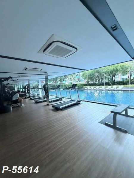 The Excel Hideaway Sukhumvit 50 : ดิ เอ็กเซล ไฮด์อะเวย์ สุขุมวิท 50, กรุงเทพ, 1112 ซอย ร่วมเจริญ, พระโขนง, คลองเตย, กรุงเทพ, 30 ตร.ม., คอนโด ให้เช่า, โดย Susira Preuksawun, 500463220 - DDproperty.com