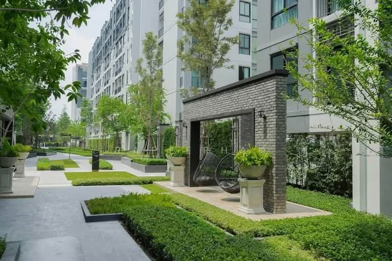 Notting Hill Sukhumvit 105, Bangkok, 105 Sukhumvit, Bang Na, Bangkok, 2 Bedrooms, 43 sqm, Condo For Rent, by Rapeephan, 500463247 - DDproperty.com