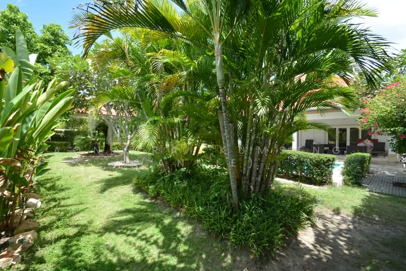 Orchid Palm Homes 4 : ออร์คิด ปาล์ม โฮม 4, ประจวบคีรีขันธ์, หัวหิน, ประจวบคีรีขันธ์, 252 ตร.ม., บ้านเดี่ยว ขาย, โดย Aonaurai Kumsing (Annie), 500463302 - DDproperty.com
