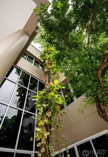 For Rent 5 Bedroom Detached House Near BTS Mochit Bangkok HRE01152, Bangkok, Chatuchak, Bangkok, 5 Bedrooms, 375 sqm, Single Detached House For Rent, by Hero Realtor Co., Ltd., 500463336 - DDproperty.com