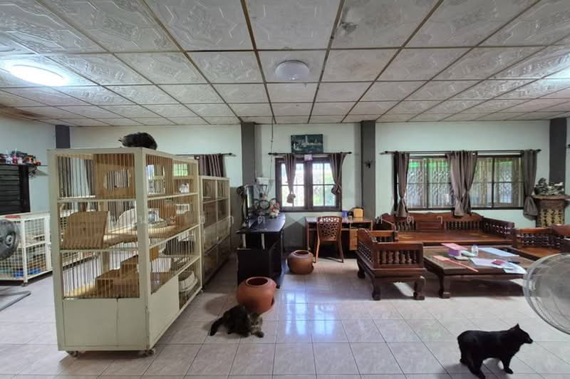 หมู่บ้านมิตรประชา (ติวานนท์-ปากเกร็ด 46), Nonthaburi, Ban Mai, Bang Yai, Nonthaburi, 4 Bedrooms, 170 sqm, Single Detached House For Sale, by ชนะชาติ นนท์ตา, 500463354 - DDproperty.com