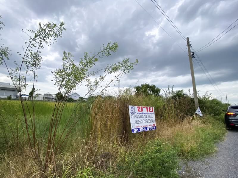 ที่ดิน ซอยลำลูกกา 97, Pathum Thani, Bung Kham Proi, Lam Luk Ka, Pathum Thani, , 400 sqm, Land For Sale, by ภัทรนัน อิศรางกูร ณ อยุธยา, 500463355 - DDproperty.com