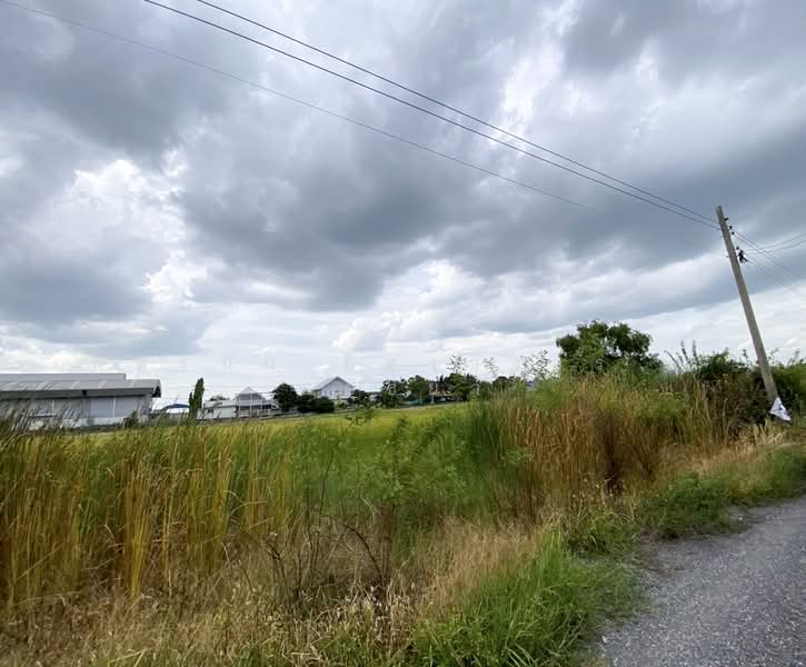 ที่ดิน ซอยลำลูกกา 97, Pathum Thani, Bung Kham Proi, Lam Luk Ka, Pathum Thani, , 400 sqm, Land For Sale, by ภัทรนัน อิศรางกูร ณ อยุธยา, 500463355 - DDproperty.com
