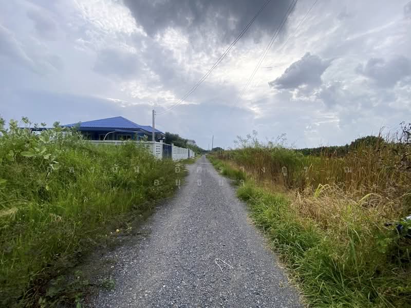 ที่ดิน ซอยลำลูกกา 97, Pathum Thani, Bung Kham Proi, Lam Luk Ka, Pathum Thani, , 400 sqm, Land For Sale, by ภัทรนัน อิศรางกูร ณ อยุธยา, 500463355 - DDproperty.com