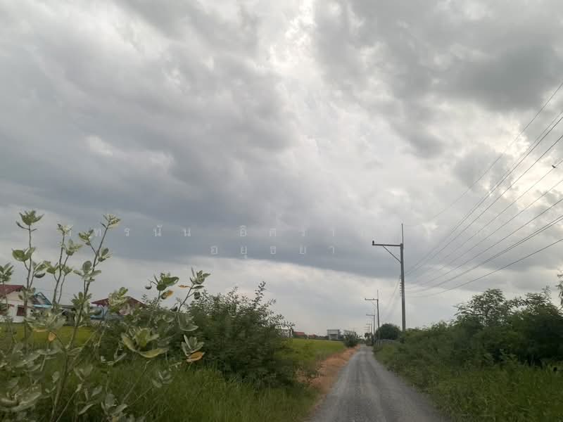 ที่ดิน ซอยลำลูกกา 97, Pathum Thani, Bung Kham Proi, Lam Luk Ka, Pathum Thani, , 400 sqm, Land For Sale, by ภัทรนัน อิศรางกูร ณ อยุธยา, 500463355 - DDproperty.com