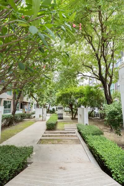 A Space Me Sukhumvit 77 : เอ สเปซ มี สุขุมวิท 77, กรุงเทพ, 2363 ซอยสุขุมวิท 77 ถนนสุขุมวิท, สวนหลวง, กรุงเทพ, 31 ตร.ม., คอนโด ขาย, โดย Chekchanok Chuaynual, 500463454 - DDproperty.com