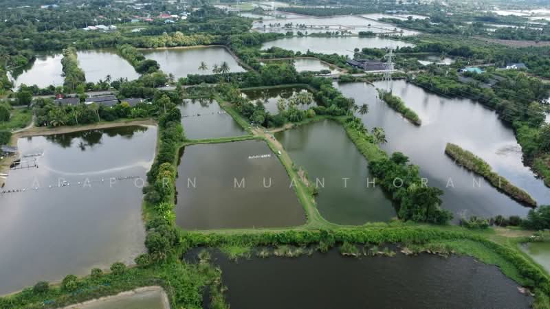 นครชัยศรี, Nakhon Pathom, Tha Phraya, Nakhon Chai Sri, Nakhon Pathom, , 19,464 sqm, Land For Sale, by Apaporn Muanthorani, 500463549 - DDproperty.com