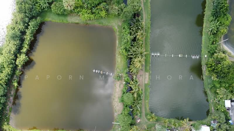 นครชัยศรี, Nakhon Pathom, Tha Phraya, Nakhon Chai Sri, Nakhon Pathom, , 19,464 sqm, Land For Sale, by Apaporn Muanthorani, 500463549 - DDproperty.com