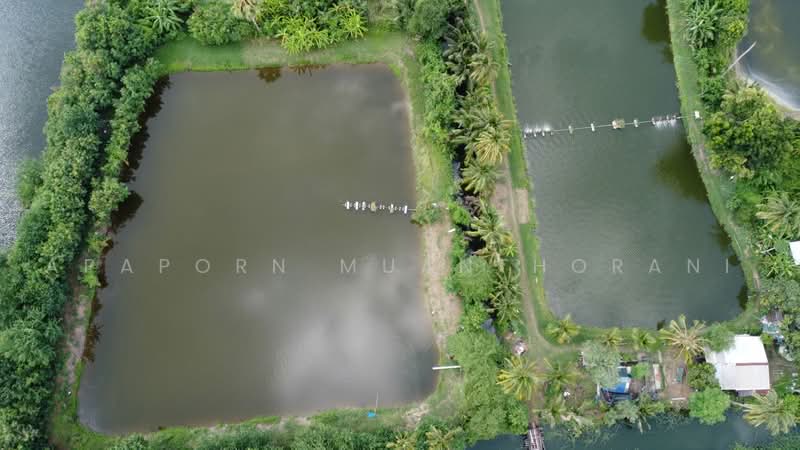 นครชัยศรี, นครปฐม, ท่าพระยา, นครชัยศรี, นครปฐม, 19,464 ตร.ม., ที่ดิน ขาย, โดย Apaporn Muanthorani, 500463549 - DDproperty.com