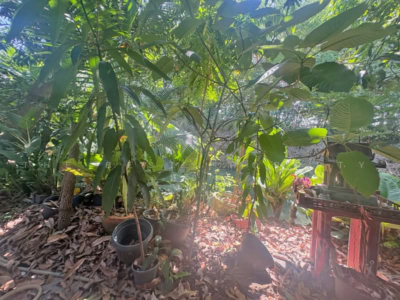 หมู่บ้านพฤกษา15 บางพลี-ตำหรุ, Samut Prakan, Phreak Sa Mai, Muang Samut Prakarn, Samut Prakan, 4 Bedrooms, 100 sqm, Townhouse For Sale, by The Best Property ทอง, 500463594 - DDproperty.com