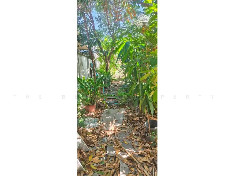 หมู่บ้านพฤกษา15 บางพลี-ตำหรุ, Samut Prakan, Phreak Sa Mai, Muang Samut Prakarn, Samut Prakan, 4 Bedrooms, 100 sqm, Townhouse For Sale, by The Best Property ทอง, 500463594 - DDproperty.com
