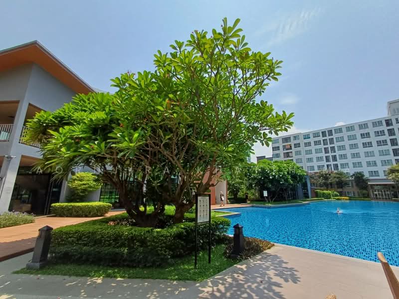 Dcondo Nim, Chiang Mai, 239 Hwy Chiang Mai-Lampang Frontage Road, Fa Ham, Muang Chiang Mai, Chiang Mai, 1 Bedroom, 36 sqm, Condo For Rent, by Aornjira Khatthima, 500463602 - DDproperty.com