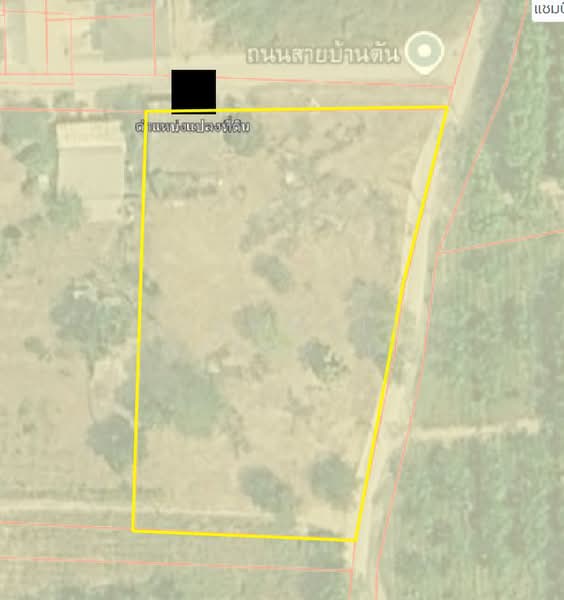 Prime land for sale in Pluak Daeng, 2 rai with road frontage on 3 sides, Rayong, Pluak Daeng, Rayong, , 3,200 sqm, Land For Sale, by RICHWELL INTERPLUS, 500463626 - DDproperty.com