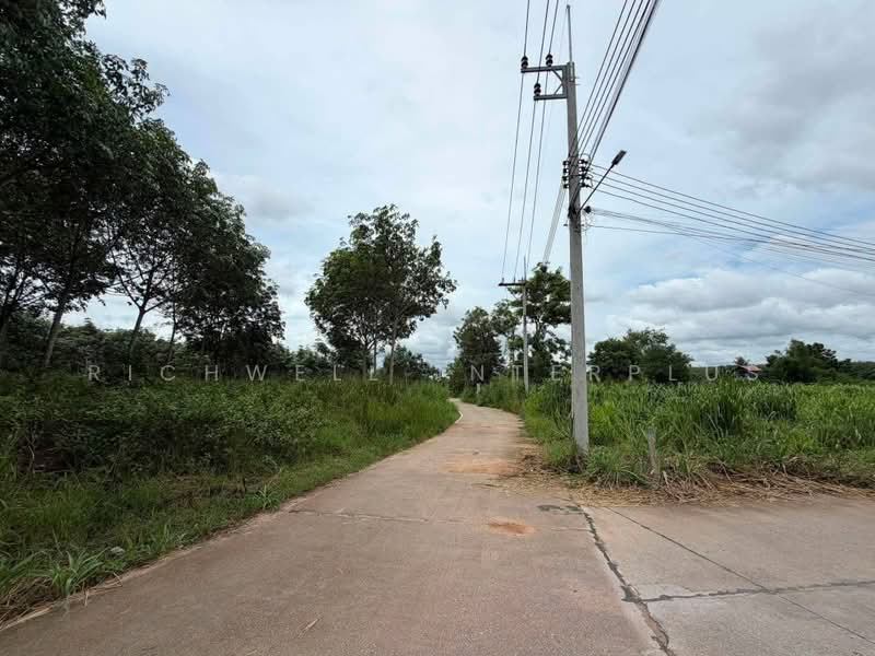 Prime land for sale in Pluak Daeng, 2 rai with road frontage on 3 sides, Rayong, Pluak Daeng, Rayong, , 3,200 sqm, Land For Sale, by RICHWELL INTERPLUS, 500463626 - DDproperty.com